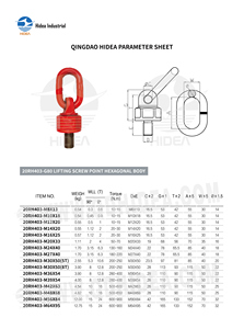 Vis de levage HIDEA G80 <span class=keywords><strong>à</strong></span> tête hexagonale M8 <span class=keywords><strong>à</strong></span> M64 360° °   Émerillons rotatifs en acier allié pour levage de moules - Product Image 2