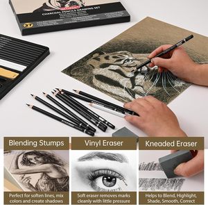 Set Professionale di Matite per Schizzi a Carboncino, Kit Artistico per <span class=keywords><strong>Disegno</strong></span> in Bianco e Nero con Bastoncini di Grafite, Strumenti per Sfumatura e Astuccio per Artisti - Product Image 6