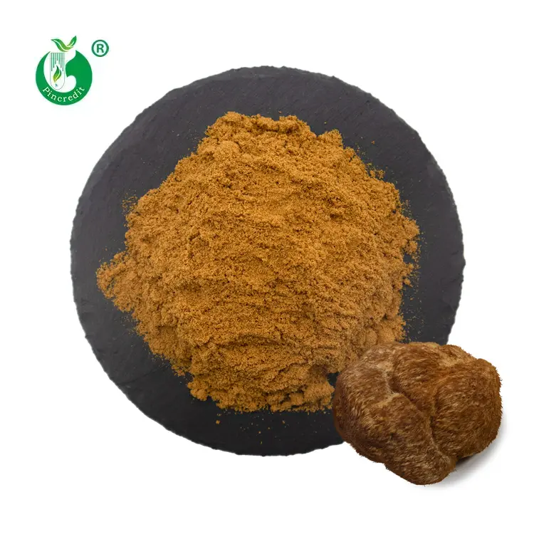 Pincredit Wholesale Price Organic Lions Mane Mushroom Extract Powder