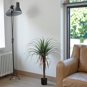 <span class=keywords><strong>Árbol</strong></span> <span class=keywords><strong>de</strong></span> Plátano Artificial <span class=keywords><strong>de</strong></span> Alta Calidad, Jade Horizon, <span class=keywords><strong>Dracaena</strong></span> <span class=keywords><strong>Draco</strong></span>, Plástico/PE/PVC, Ecológico, Duradero, Resistente al Agua - Product Image 2