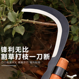 Coltello per Noci di Areca in Acciaio al Manganese, Attrezzo Agricolo per Esterni, Falce per Taglio Erba e Piante Acquatiche, Falce per Banane ad Alta Quota - Product Image 3