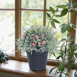 Berry Cypress lá cây nhân tạo Bonsai - Product Image 6