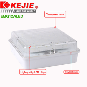 <span class=keywords><strong>Led</strong></span> khẩn cấp vách ngăn ánh sáng Trần bán buôn vuông dẫn khẩn cấp vách ngăn ánh sáng khách sạn 20 ~ 30W IP65 dẫn ánh sáng Trần khẩn cấp - Product Image 5