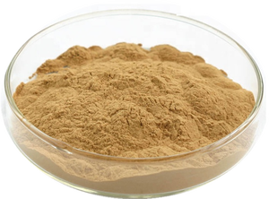 Longze factory direct – poudre d'extrait de champignon de crinière de lion/<span class=keywords><strong>Hericium</strong></span> <span class=keywords><strong>Erinaceus</strong></span> - Product Image 4