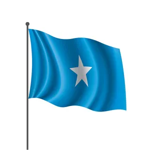 Huiyi Cost-effective 90x150cm Custom Printing Polyester Somali Flag For Election Activity