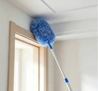 Brosse de nettoyage robuste pour toiles d'araignées au sol, avec manche extensible en PP, dépoussiéreur écologique pour coins et recoins