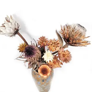 SumFlora 2024 ins flores secas populares Protea cynaroides para decoración de bodas