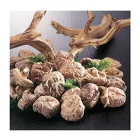 Japanese dry shiitake mushroom exporter agriculture products