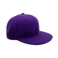 Sedex Audit Personnaliser Concevez Votre Logo À La Mode Unisexe En Coton 6 Panneau Violet Plaine Snapback Cap Chapeau De Sport