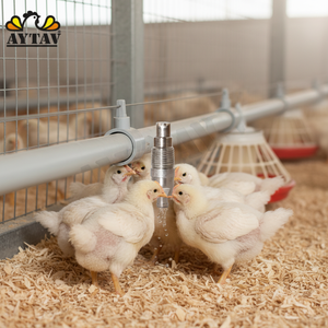 หัวจ่ายน้ำสแตนเลสแบบใหม่ 360 องศา สำหรับระบบให้น้ำไก่และกระต่าย อุปกรณ์หลักสำหรับฟาร์ม รุ่น 302200 AYTAV รับประกัน 1 ปี - Product Image 3