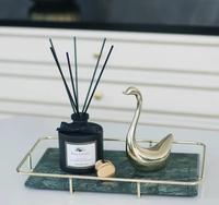 Diffuseur à bâtonnets en verre mat, emballé dans une boîte cadeau de luxe, qualité supérieure, vente chaude, fournisseur d'usine