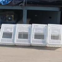 Panier de transport de poulet en plastique portable Cage à oiseaux pour volaille et poulailler de chasse-pour un transport facile
