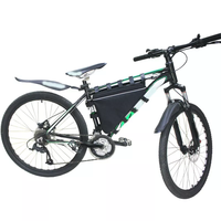 Pochette de protection Lipo personnalisée en usine Sac de batterie de vélo électrique de stockage de sécurité Triangle étanche et antidéflagrant