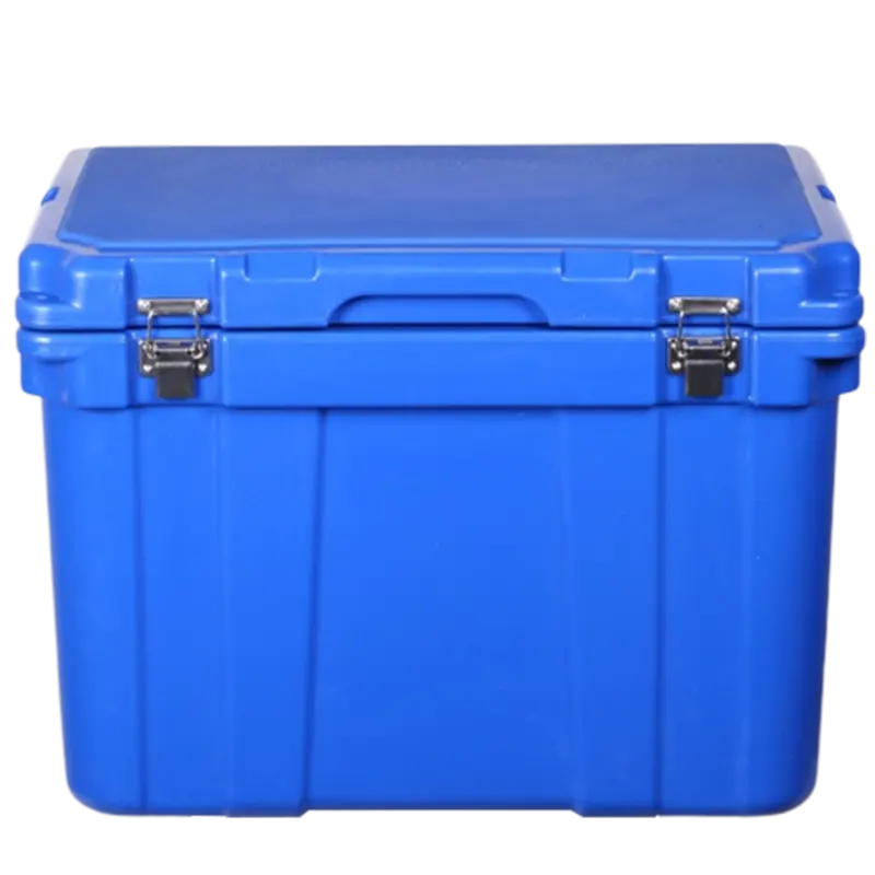 Incubatrice per ghiaccio secco in vendita contenitore per ghiaccio secco a catena fredda/scatola per trasporto ghiaccio secco