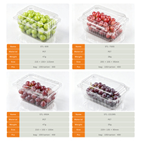 Boîtes d'emballage en PET transparent perforées pour fruits frais (tomates, cerises, raisins) – Contenants en plastique pour fruits en coquille