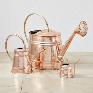 Best-seller Bidon d'eau compact en métal de finition antique de construction légère avec un charmant design rustique pour le jardinage - Product Image 1