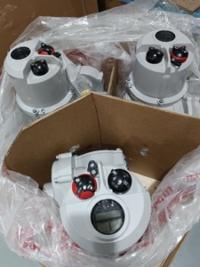 วาล์วควบคุม-ตัวกระตุ้น: IQ, IQ3, IQ2, iqt, iqm, AWT, ROM, rompak Series-ใหม่เอี่ยม (ดั้งเดิม) - Product Image 4