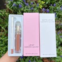 Rouge à lèvres liquide mat vegan imperméable longue tenue anti-transfert 30g, marque privée, vente en gros, Noël, offre spéciale