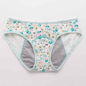 Culottes menstruelles en coton de haute qualité, ensemble de lingerie florale sexy, sous-vêtements menstruels anti-fuites pour femmes, culottes en coton doux et simples - Product Image 1