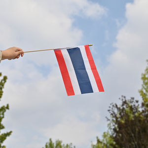 Недорогие флаги США для мероприятий, 100D полиэстер, на заказ, ручные мини-флажки с деревянной палочкой - Product Image 3