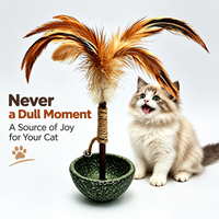 Jouet interactif pour chat avec herbe à chat, plumes et clochette, pour chaton d'intérieur, divertissant et stimulant, fourni par l'usine