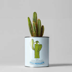 Kits de plantation en gros, pots personnalisés, kit de culture de plantes à <span class=keywords><strong>faire</strong></span> soi-même, kit de plantes d'intérieur, pot à herbes, cadeau de jardinage pour enfants - Product Image 4