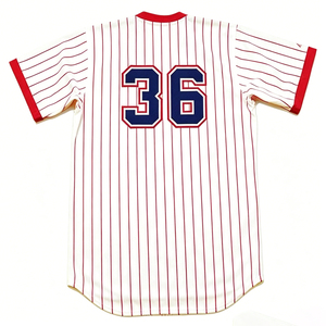 Maillot de baseball classique des années 90, cousu, tailles S-5XL, BIFF POCOROBA CITO GASTON DALE <span class=keywords><strong>MURPHY</strong></span> GENE GARBER JEFF BURROUGHS JIM BOUTON - Product Image 5