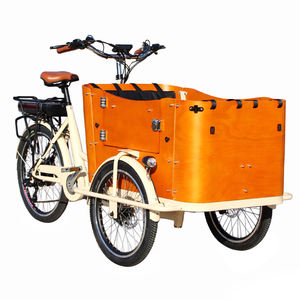 Tricycles électriques CE 250W/350W/500W avec <span class=keywords><strong>side</strong></span>-<span class=keywords><strong>car</strong></span>, vélo cargo électrique, vélo électrique Bakfiet, remorque, vélo cargo électrique pour animaux de compagnie (chiens et chats) - Product Image 1