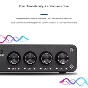 Kỹ thuật số HIFI 4 kênh khuếch đại âm thanh sốt <span class=keywords><strong>USB</strong></span> Flash Drive Player Hợp kim nhôm nhà ở <span class=keywords><strong>Power</strong></span> <span class=keywords><strong>Amp</strong></span> - Product Image 3