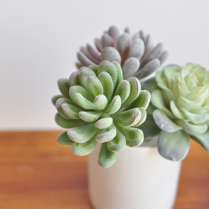 <span class=keywords><strong>Piante</strong></span> succulente <span class=keywords><strong>artificiali</strong></span>, <span class=keywords><strong>piante</strong></span> grasse finte <span class=keywords><strong>realistiche</strong></span> per la decorazione <span class=keywords><strong>da</strong></span> ufficio per la scrivania a casa verde - Product Image 3