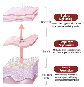 Crème Visage Correctrice Anti-Taches Pigmentaires et Mélasma pour Éclaircissement de la Peau (kg) - Product Image 6