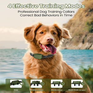 Ensemble de collier d'entraînement électronique étanche et rechargeable pour toutes les races de chiens Télécommande 4 modes de verrouillage de sécurité Contrôle des aboiements - Product Image 2