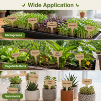 Étiquettes de plantes en PVC imperméables en forme de T, marqueurs de jardin en plastique durables, étiquettes de pépinière réutilisables pour semis, vente en gros