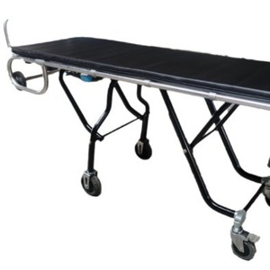 Manufacturer supplies aluminum alloy hearse vehicles, light-duty hearse transport vehicles for funeral homes. - Product Image 1