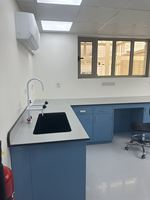 Meubles de laboratoire, résine époxy industrielle, chimie, microbiologie clinique, tables et bancs de laboratoire avec plateau en granit