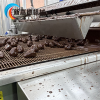 Machine d'enrobage de chocolat entièrement automatique, homologuée CE, en acier inoxydable, pour le revêtement des barres énergétiques et des snacks