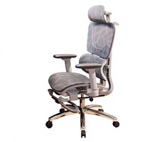 Chaise de bureau ergonomique en maille avec base 5 étoiles, roulettes, coussin de siège réglable, siège inclinable, conception anti-fatigue, pivotant double usage