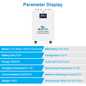ก้อนแบตเตอรี่15KWh ติดผนัง1P16S แบตเตอรี่ลิเธียมไอออนขนาด51.2V 300Ah พร้อม BMS 200A สต็อกเรา - Product Image 5