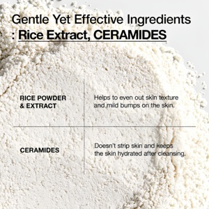 Poudre nettoyante éclaircissante et exfoliante <span class=keywords><strong>pour</strong></span> <span class=keywords><strong>le</strong></span> <span class=keywords><strong>visage</strong></span> à l'extrait de riz coréen – Soin enzymatique au riz <span class=keywords><strong>pour</strong></span> <span class=keywords><strong>le</strong></span> nettoyage de la peau - Product Image 4