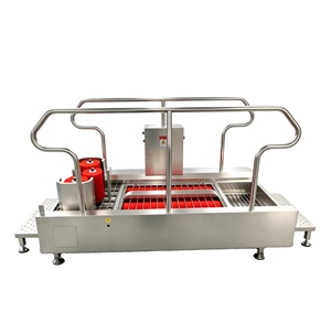 Máquina de Desinfección y Lavado de Botas Automática de Acero Inoxidable a <span class=keywords><strong>Precio</strong></span> de Fábrica para Mataderos, Procesamiento de Carne y Vestuarios - Product Image 1