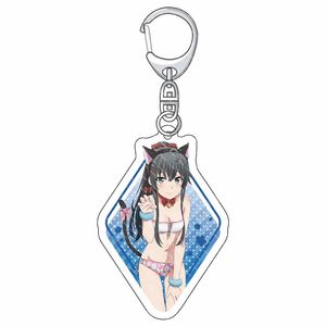 Caliente más popular al por mayor stock a granel My Teen comedia romántica SNAFU personaje <span class=keywords><strong>Yukinoshita</strong></span> <span class=keywords><strong>Yukino</strong></span> anime acrílico llavero colgante - Product Image 2