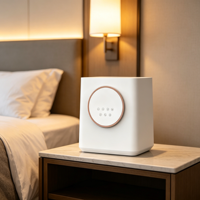Diffuseur d'arômes portable multifonctionnel, humidificateur ionisant, barre d'oxygène, veilleuse, prise USB 5V, capacité de 4,5 L, pour la maison, la voiture, le bureau
