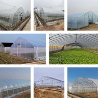 Film plastique agricole personnalisé pour grandes surfaces, idéal pour la culture de fraises et de tomates, stable et économique, pour serres et plantations de légumes.