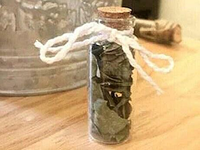 Suvenir Pernikahan Rustic Bunga Kering Asli dalam Botol Kaca Mini Hadiah untuk Tamu Pernikahan, Hari Valentine, Paskah, dan Hari Ibu