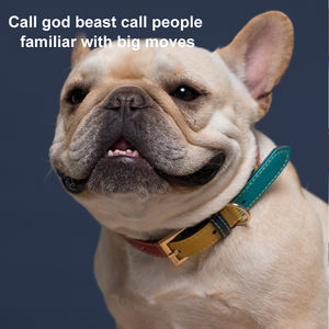 Collar de cuero sintético para perros, accesorio resistente de lujo con hebilla de metal - Product Image 6