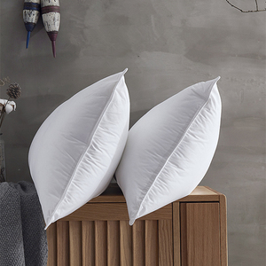 2021 Bán Hàng Tùy Chỉnh Chính Hãng Mềm Vịt Lông Và Vịt Xuống Gối Điền Trắng Gối Chèn - Product Image 3