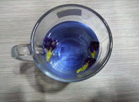 Natürliches Pigmentblau in Großmengen, Blumenextrakt-Rohstoff, Schmetterlingserbsenblüten-Pulver