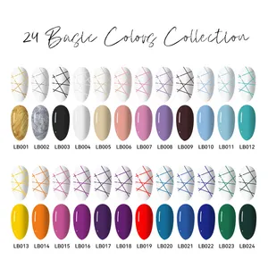 24 couleurs Liner Gel Kit Basic Color BeiEn Gel Polish Set No-Wipe High Pigment OEM & ODM Bulk Unique Design Spider Gel