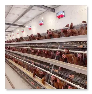 Sistema di capannone moderno per allevamento di pollame automatico un tipo di strato di pollo all'uovo per gabbia animale