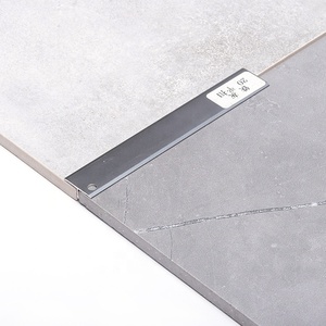 Misumi T20 Personnalisé 20mm Bande <span class=keywords><strong>de</strong></span> <span class=keywords><strong>seuil</strong></span> <span class=keywords><strong>de</strong></span> porte en aluminium argenté en forme <span class=keywords><strong>de</strong></span> T pour carrelage <span class=keywords><strong>de</strong></span> sol - Product Image 6
